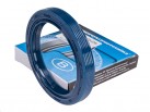 Rotary Shaft Seal AS 55x72x10 NBR-440 blue DIN 3760 (CLAAS 233837.0)