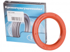 Oil seal AS 60x80x8 FKM DIN 3760